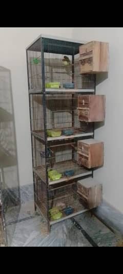 cage 2by 1.5 use condition ha