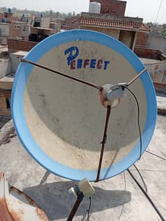 fiber