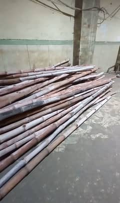 bamboo