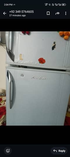 freezar company singer  2 doors