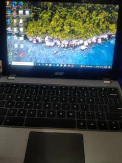 Acer
