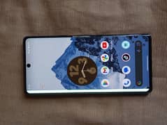 Pixel 6 pro panel