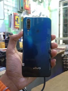 vivo