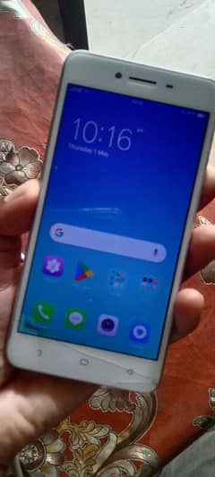 oppo