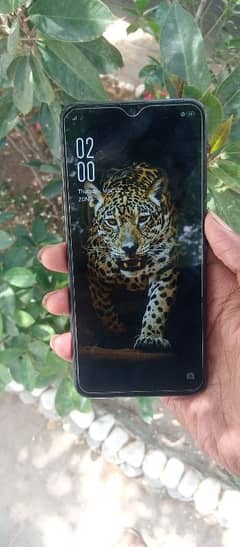 OPPO