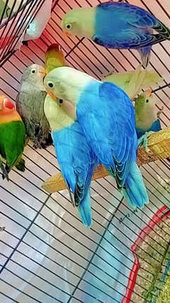 per