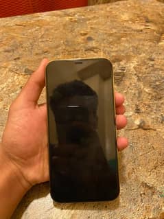 iPhone 12 Pro Max 128 GB 10/10
