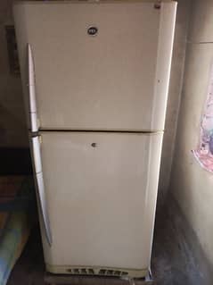 PEL