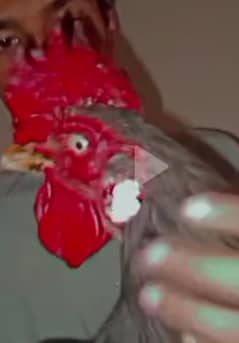 murga