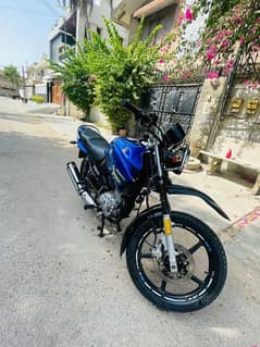 yamaha YBR-G