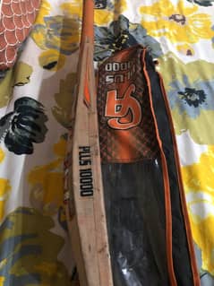 CA 10000 PLUS| Cricket Bat | Hard Ball Bat|
