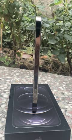 Iphone 12pro 256 GB Waterproof