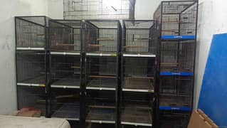 Lovebird cage
