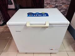 HAIER DEEP FREEZER - CHEST FREEZER - SINGLE DOOR