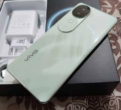 vivo