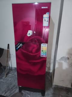 Only 1 year used