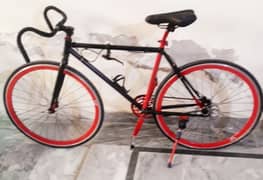 racing cycle