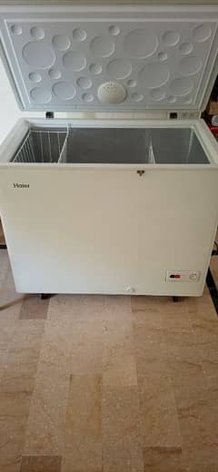 haier single door freezer