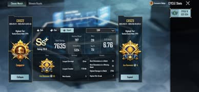 Pubg Rank