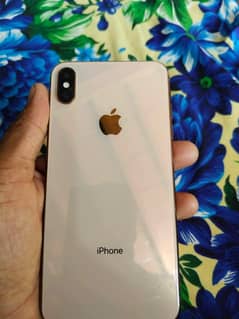 iPhone  xs mx