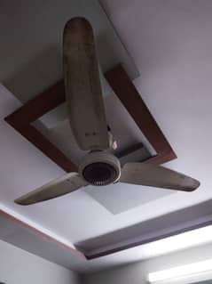 Ceiling fans for sale