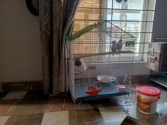 cages