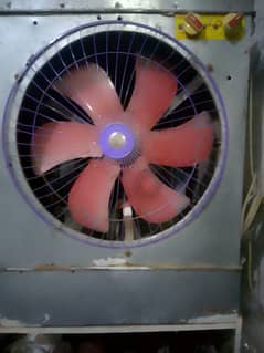 Room cooler