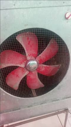Lahori Cooler Big Size