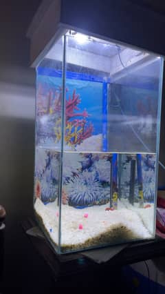 Fish acquarium for sale