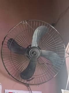 12 volte all oky