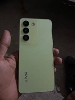 vivo