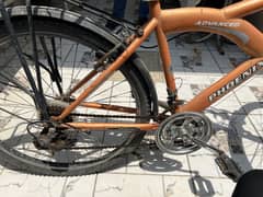 PHOENIX BICYCLE