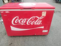 C D freezer Singel door (0306=4462/443)classicset