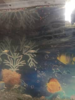 Fishes