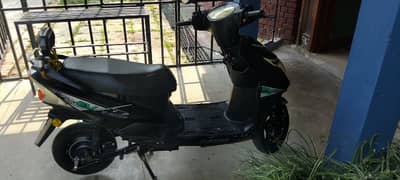 Electric Scooty Lush Codition Urgent Sale