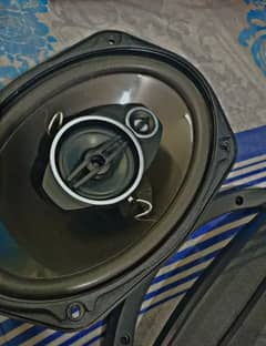 Pioneer