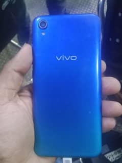 vivo
