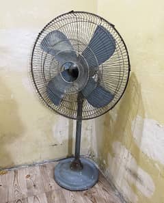 Fan