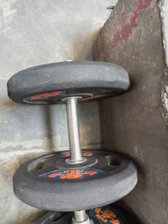 dumbells kg 350