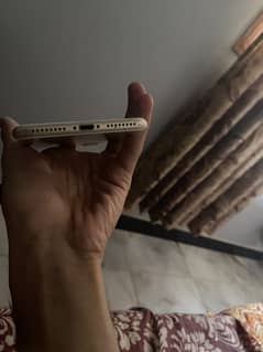 Iphone 7plus pta approved