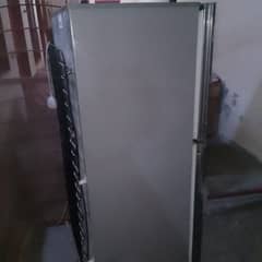 friage sale