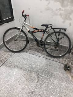 Phonek cycle