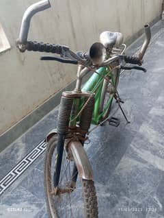 Parrot