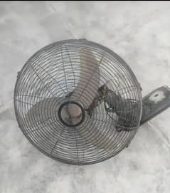 wall