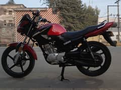 Yamaha YBR 125 2019