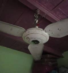 Ceiling Fan 220V For Sale