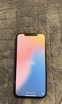 12 Pro Max 256gb non pta