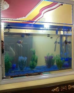 Aquarium