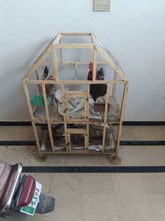 5 Murgi or pinjara for sale 1 bara murga or eik bari murgi