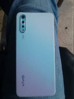 vivo